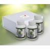LTO3 SEMENTIS 90 vegetal  capsules :  Stress-attention deficit-hyperactivity (Pure L-theanine- milt extract  herring- skullcap)