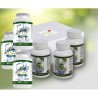 LTO3 SEMENTIS 90 vegetal  capsules :  Stress-attention deficit-hyperactivity (Pure L-theanine- milt extract  herring- skullcap)