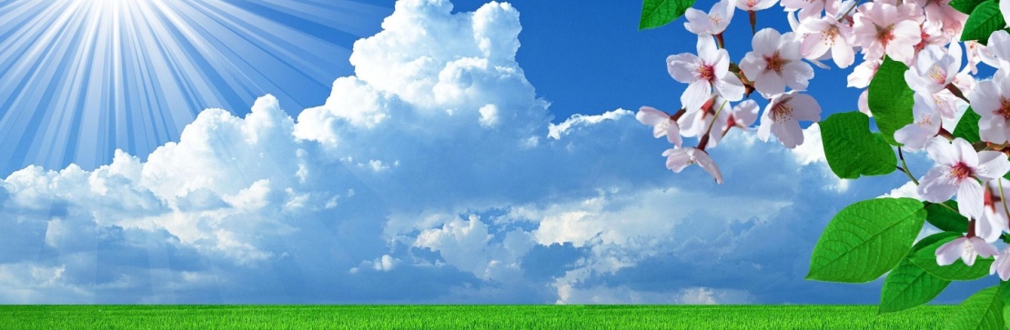 Notre odorat est à la fête  :-)